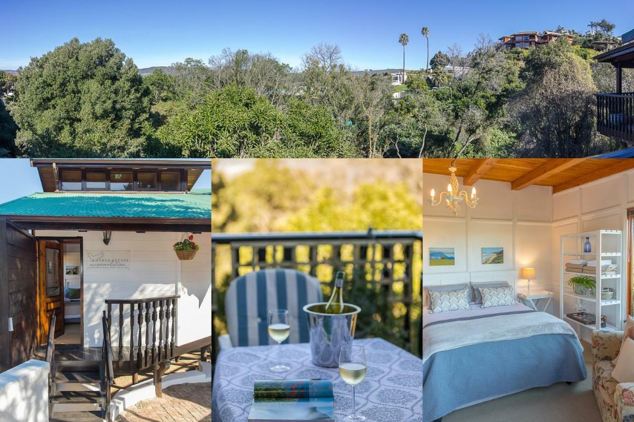 Knysna Escape Accommodation Buitenkant foto